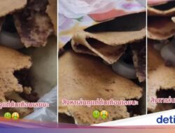 Zonk! Wanita Ini Tak Tahu Crepes yang Dibeli Isinya Tokek