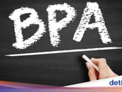 Studi Sebut Dampak Buruk BPA Di Kesejajaran Metabolik Manusia