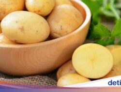 Apakah Makan Kentang Pada Asupan Konsumsi Efektif Turunkan Berat Badan?