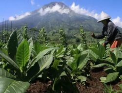 Soal Aturan Turunan PP Keadaan, Wakil Rakyat Soroti Minimnya Pelibatan Publik