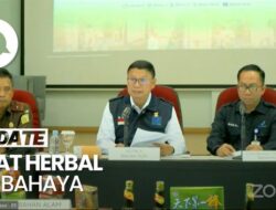 BPOM Sita-Umumkan 10 Terapi Herbal Merusak Ginjal dan Jantung