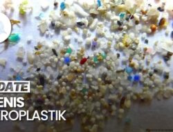 Video: Mengenal 2 Jenis Mikroplastik Di Lingkungan Sehari-hari