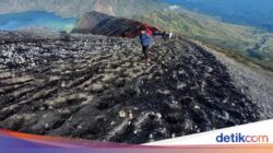 2 Pendaki Jakarta Jatuh Hingga Jurang Puncak Gunung Rinjani, 1 Hilang