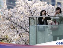 5 Cara Asupan Hidangan Ala Wanita Jepang, Termasuk Pantang Banget Makan Ini