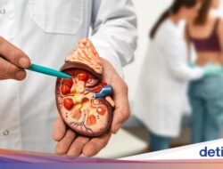 Tanda-tanda Ginjal Rusak yang Tak Boleh Diabaikan, Perlu Segera Hingga Ahli Kebugaran