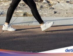 Terungkap Lewat Studi, Jalan Kaki Seperti Ini Bisa Cegah Sakit Jantung
