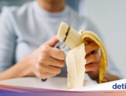 Kegemaran Makan Buah Sesudah Makan Nasi? Ini Efeknya Sebagai Tubuh