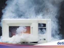 Pria Ini Masak Steak dan Sup Pakai Microwave Sampai Meledak