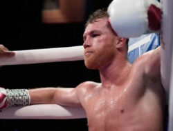 Asal-usul Julukan Canelo Ke Di Nama Saul Alvarez, Ternyata Ini Maknanya
