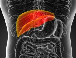 7 Konsumsi Sehari-hari Bagus Bagi Kesejajaran Liver, Termasuk Minuman Kafein