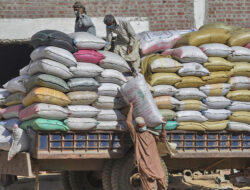 Perdagangan Keluar Negeri Tumbuh 6,4%, Pakistan Kantongi Rp443 Triliun Di 10 Bulan