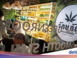 Wisata Ganja Thailand Terbukti Bikin Turis Ketagihan