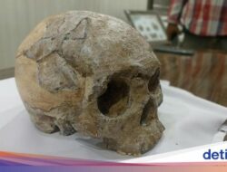 Mengenal Suku Wajak, Suku Tertua Hingga RI yang Hilang Secara Misterius