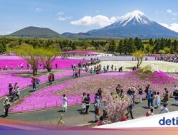 Turis China Dituduh Mencuri Listrik Di Jepang, Ia Disuruh Pulang Di Negaranya