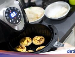Apa Benar Masak Pakai Air Fryer Sebabkan Kanker?