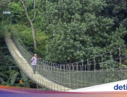 Jembatan Gantung Citarum, Ikon Mutakhir Ekowisata Di Bandung Barat