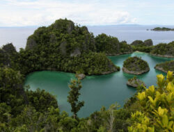 Kompak! ESDM hingga Bupati Berikan Izin Tambang Nikel Di Raja Ampat