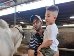 Kurban Unik Para Seniman Di Iduladha 2025, Ria Ricis hingga Raffi Ahmad