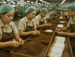 PP 28/2024 Ancam Sektor Padat Karya, Potensi Rugi Ratusan Triliun