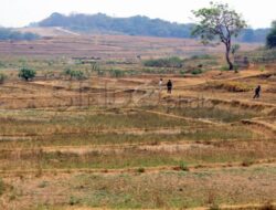 30 Persen Area Indonesia Masuk Musim Kemarau, tapi Curah Hujan Masih Tinggi