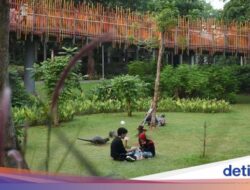 Gratis! Ruang Terbuka Ke Jakarta yang Bisa Dinikmati Tanpa Bayar