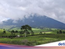 4 Pendaki Masuk Daftar Hitam, Mereka Nekat Turun Hingga Kawah Gunung Dempo