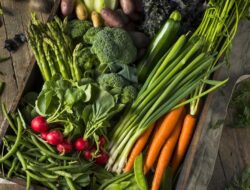 Ahli Kepuasan Gizi ‘Spill’ Sayur Superfood Bikin Tulang Sehat sampai Tua, Bye Jompo!