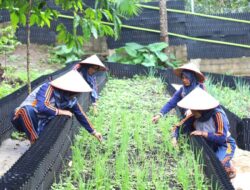 Inisiatif Hortikultura PGE Area Ulubelu Dorong Kesejaganan Kelompok
