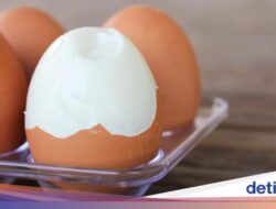 5 Tips Bikin Telur Rebus Mulus yang Kulitnya Gampang Dikupas
