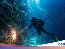 Kisah Penyelam 5 Hari Bertahan Hidup Di Gua Bawah Air, Ia Makan Ikan Mentah