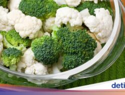 10 Konsumsi Terbaik buat Panjang Umur, Bukan Superfood Mahal dan Pembelian Barang Untuk Luar Negeri