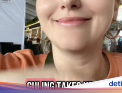 Bawa Pulang 2 Guling Didalam Indonesia