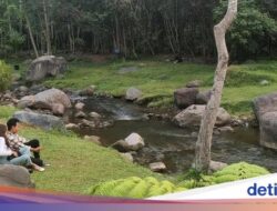 Daya Tarik, Jam Buka, dan Harga Tiket Masuknya