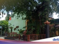 Cerita Pohon Asam Raksasa Berusia Ratusan Tahun Hingga Masjid Tua Klaten