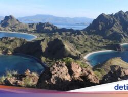10 Asosiasi Wisata Internasional Menolak Pembangunan Ratusan Vila Ke Pulau Padar
