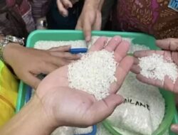 Dewan Perwakilan Rakyat Soroti Temuan Puluhan Ribu Ton Beras Perdagangan Masuk Negeri Menguning Di Gudang Bulog