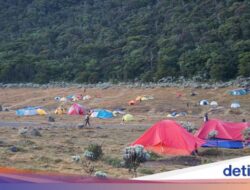 Panduan Booking Pendakian Gunung Gede