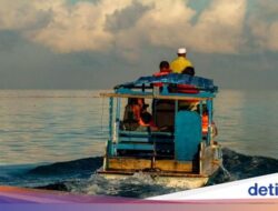 Tarian Pagi Lumba-lumba, Si Pemandu Di Laut Banda