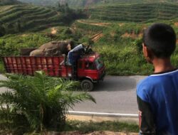 Razia Truk Pelat Aceh Di Sumatera Utara Patut Dikaji Ulang, Ciptakan Konflik