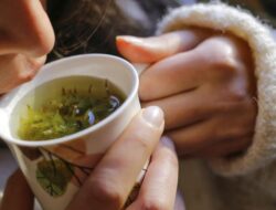 Cuaca Nggak Menentu, Badan Gampang Drop? Ini Ramuan Herbal Sebagai Tangkal Bapil