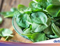 3 Rahasia Bayam Ampuh Turunkan Berat Badan, Konsumsi Rutin Yuk!