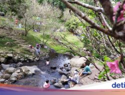 Cianjur Sudah Dikunjungi 1,1 Juta Orang, Apa Destinasi Kandidatteratas?