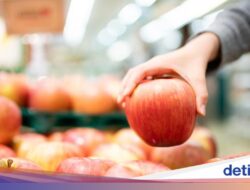 10 Buah Rendah Gula yang Aman Untuk Pola Makan dan Diabetes