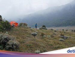 Nekat! 36 Pendaki Naik Gunung Gede Pada Jalur Pendakian Ditutup