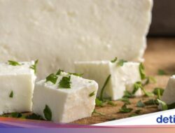 Lowongan Unik Bergaji Besar! Pencicip Keju Bisa Dapat Rp 497 Juta