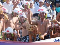 Kearifan Lokal Aci Tabuh Rah Pengangon, Warga Bali Rayakan Konflik Bersenjata Ketupat Hingga Badung
