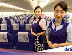 Jepang Tawarkan Penerbangan Domestik Gratis, Meski Overtourism?