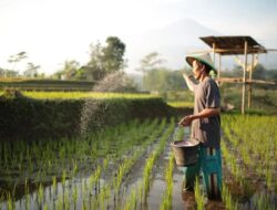 Mendorong Pemanfaatan Pertanian Presisi Berbasis Data dan Ilmu Pengetahuan