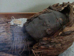 Mengapa Mumi Prasejarah Di Gurun Atacama Punya Otak Begitu Kecil?