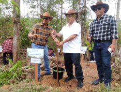 Pengelolaan Keanekaragaman Hayati, Pamapersada Nusantara Luncurkan PAMA Eco-Edu Forest Ke IKN